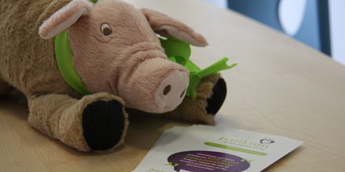 Schweinehund-Beratung-Aukrug-Neumünster-Blog